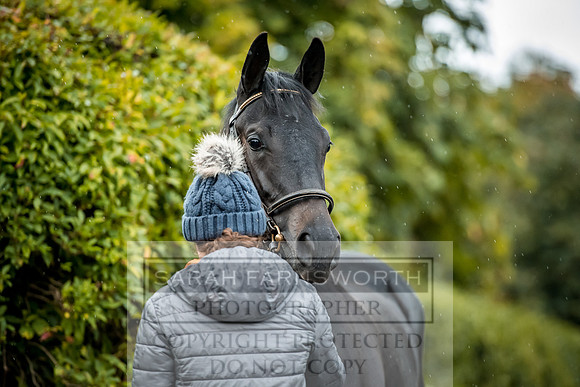 Goffs Orby 2017-562