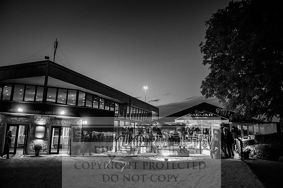 Goffs Orby 2017-480