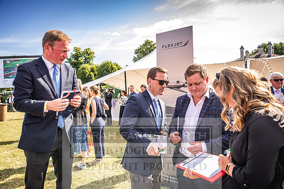 Goffs London Sale 2022-461