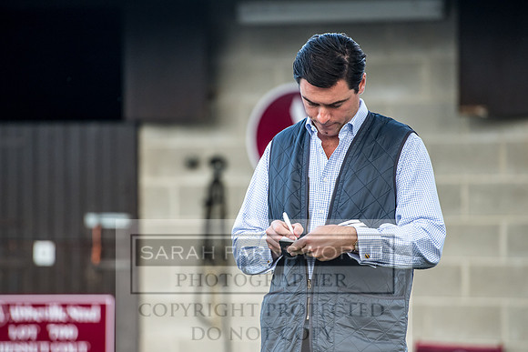 Goffs Orby 2017-98