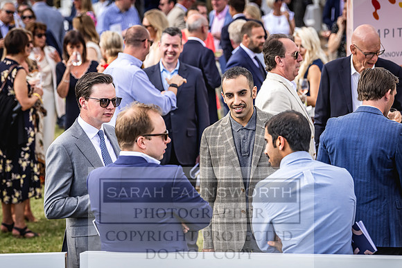 Goffs London Sale 2022-410