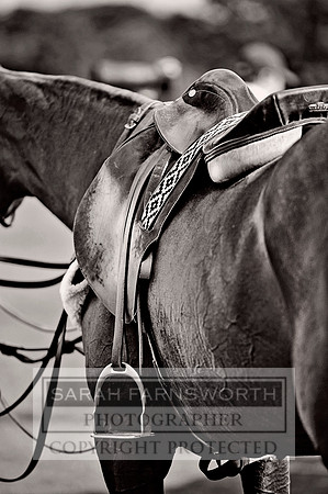 Cirencester Polo CF3 1336 bw