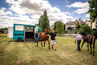 Goffs London Sale 2022-5
