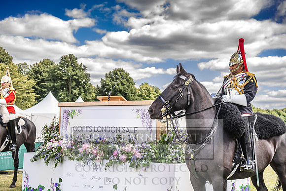 Goffs London Sale 2022-129