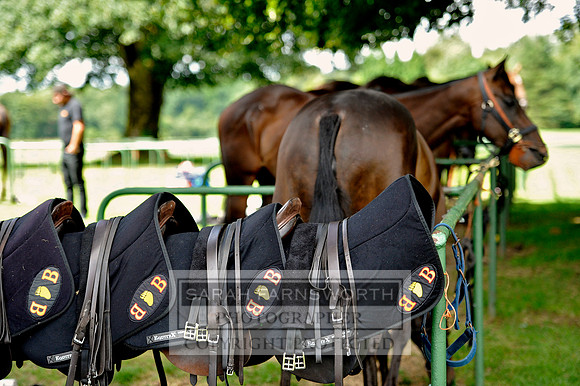 Cirencester Polo CF2 286