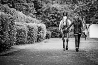 Goffs Orby 2017-13