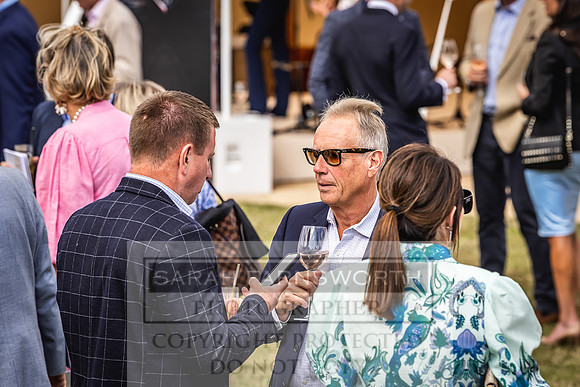 Goffs London Sale 2022-305