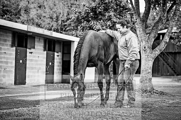 Goffs Orby 2017-57