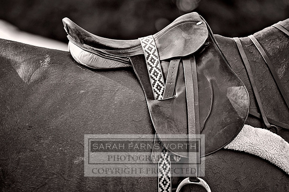 Cirencester Polo CF3 1359 bw