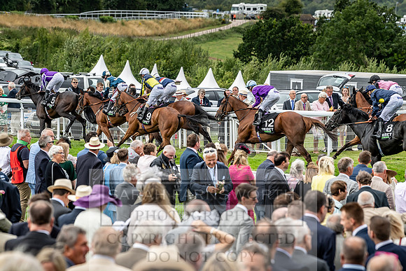 GUK Goodwood Sale 2019-63