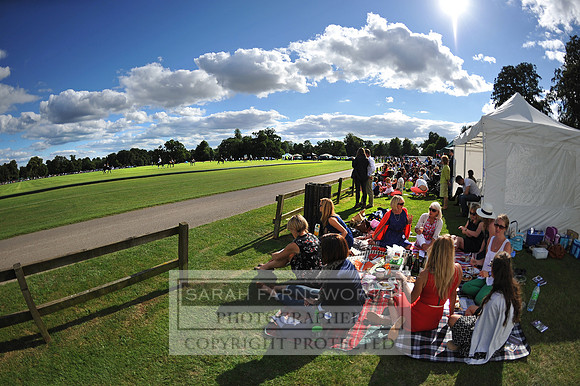 Cirencester Polo CF4 259