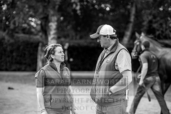 Goffs Orby 2017-281