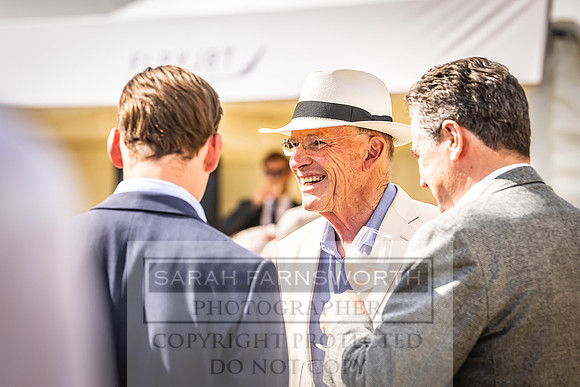 Goffs London Sale 2022-381
