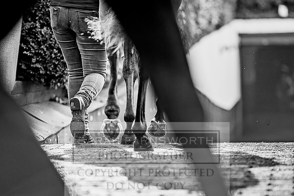 Goffs Orby 2017-143