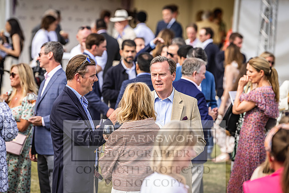 Goffs London Sale 2022-429