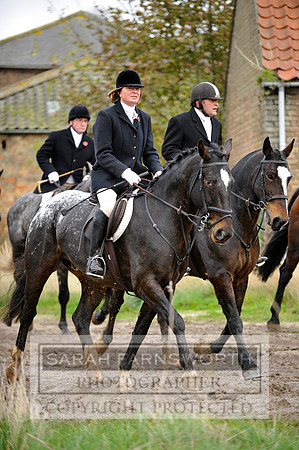 Brocklesby 021113 CF3 894