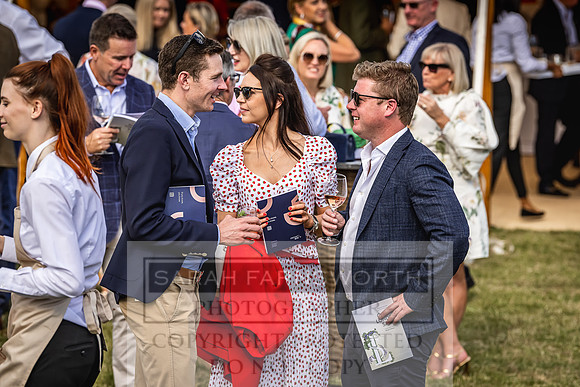 Goffs London Sale 2022-426