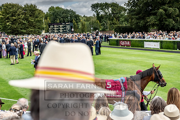 GUK Goodwood Sale 2019-131