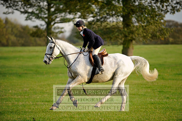 Brocklesby 021113 CF3 1239