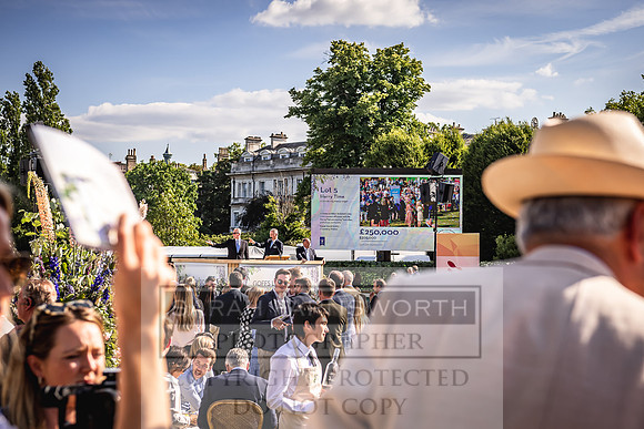 Goffs London Sale 2022-498
