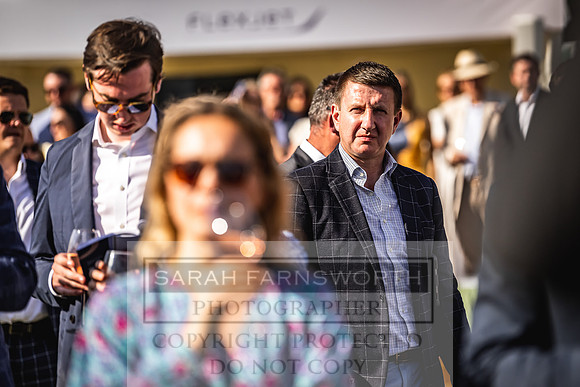 Goffs London Sale 2022-518