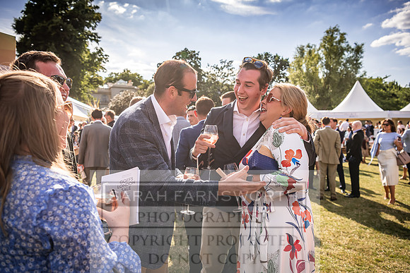 Goffs London Sale 2022-569