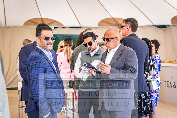 Goffs London Sale 2022-369