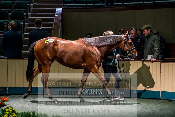 Goffs Orby 2017-617
