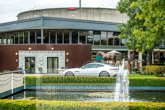 Goffs Orby 2017-550
