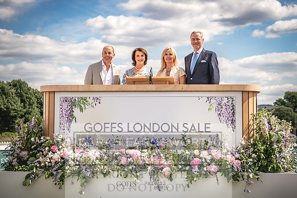 Goffs London Sale 2022-163