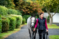 Goffs Orby 2017-9