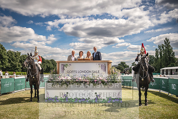 Goffs London Sale 2022-162