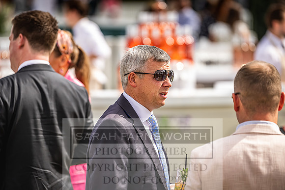 Goffs London Sale 2022-212