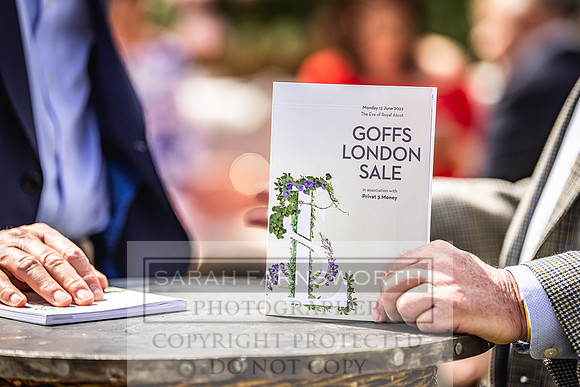 Goffs London Sale 2022-167