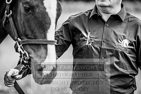 Goffs London Sale 2022-102