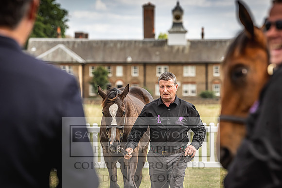 Goffs London Sale 2022-283