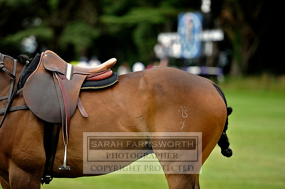 Cirencester Polo CF3 692