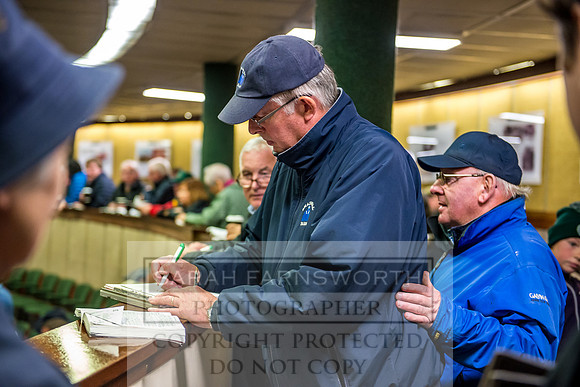 Goffs Orby 2017-627