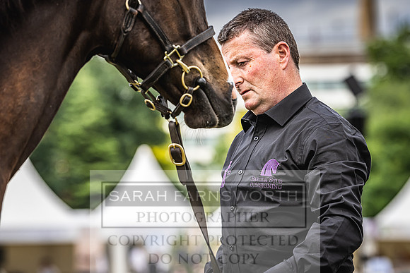Goffs London Sale 2022-59