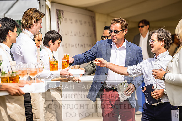Goffs London Sale 2022-113
