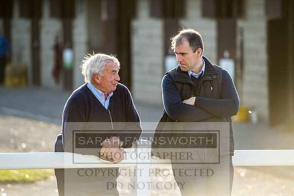 Goffs Orby 2017-403