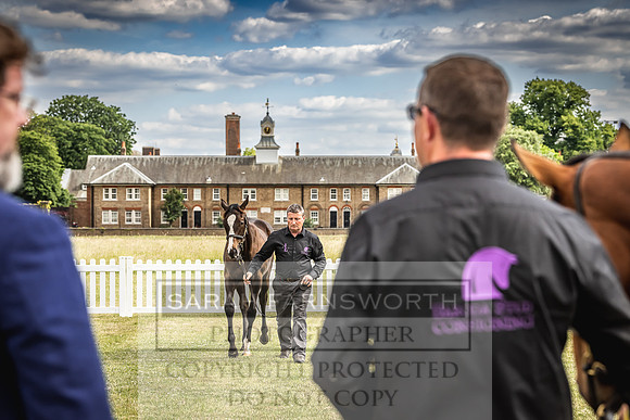 Goffs London Sale 2022-281