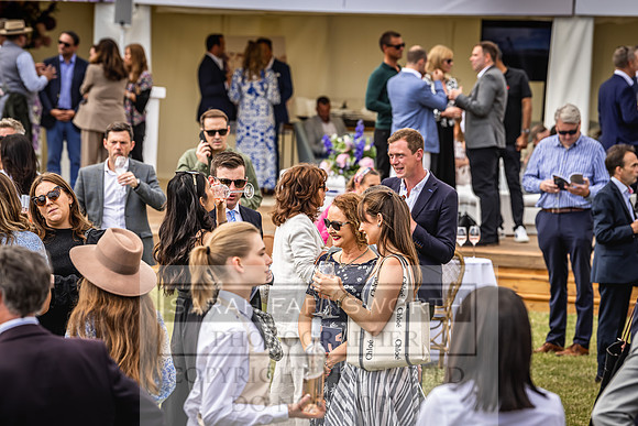 Goffs London Sale 2022-299
