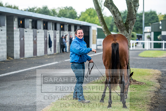 Goffs Orby 2017-56