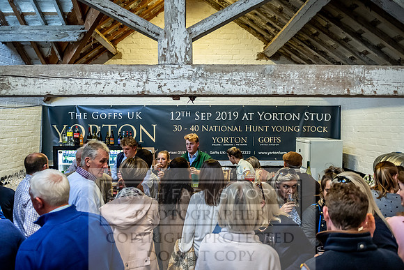GUK Yorton Sale 2019-23