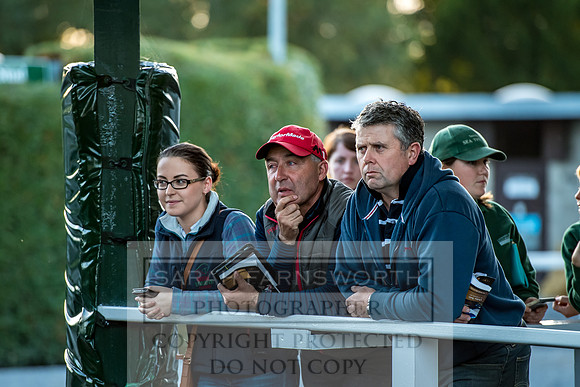 Goffs Orby 2017-464