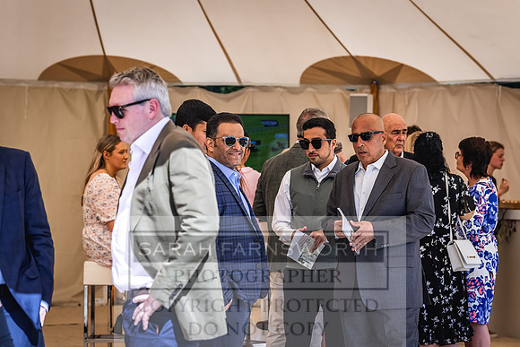 Goffs London Sale 2022-367