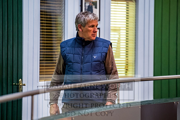 Goffs Orby 2017-306