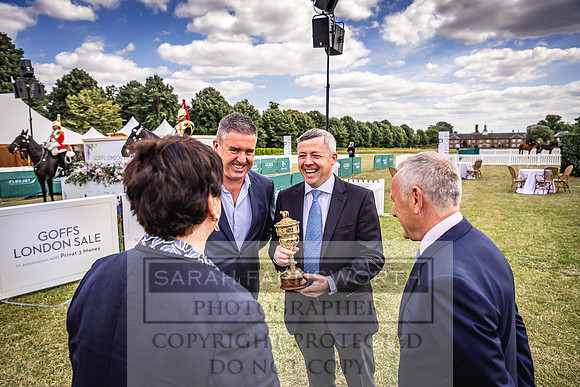 Goffs London Sale 2022-149