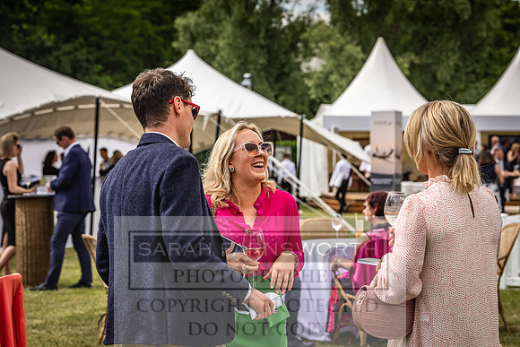 Goffs London Sale 2022-278